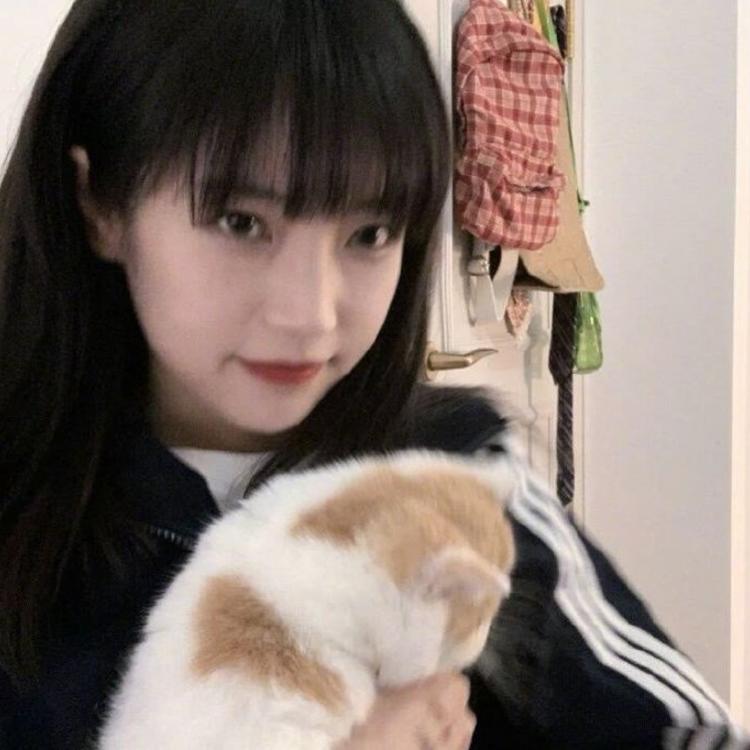 四乃森苍紫（身份：御庭番众前任首领、“天才忍者”） - 山口珠理影片高清在线播放19 - 网络视频